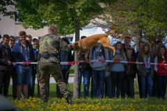 k-20180426_Jugendzukunftstag18 (112)